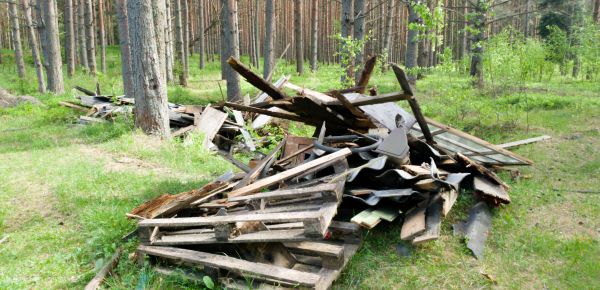 Debris Removal Service in Apache Junction