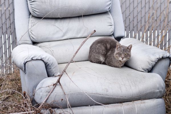 Recliner Disposal in Apache Junction